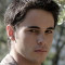 Toda la información sobre el actor David Solans