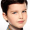 Toda la información sobre el actor Iain Armitage