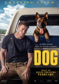 Película Dog. Un viaje salvaje