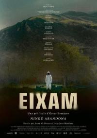 Ficha de Enjambre (Eixam)
