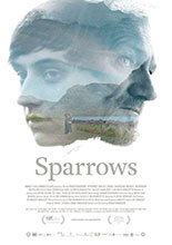 Gorriones (Sparrows)
