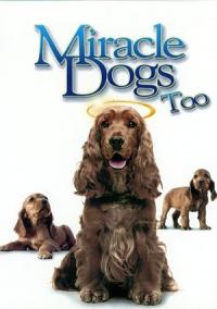 Pelicula Un milagro muy ¡guau!