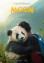 Moon, mi amigo panda