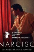 Narciso
