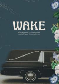 Pelicula Wake