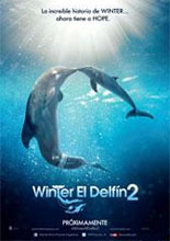 Winter el delfín 2