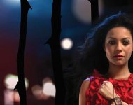 Lady, la vendedora de rosas