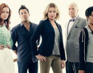 The Librarians