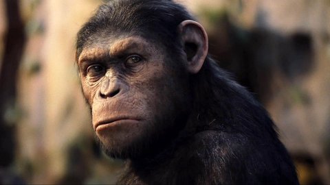 John Lithgow y Freida Pinto se unen a Rise of the Apes