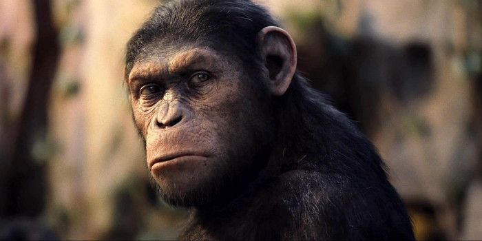 John Lithgow y Freida Pinto se unen a Rise of the Apes