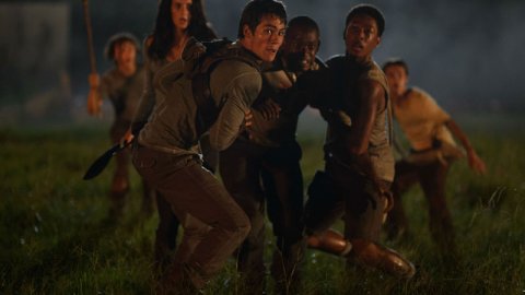 Primer tráiler de El corredor del laberinto (The Maze Runner)