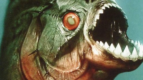 Primer tráiler de Piranha 3D, de Alexandre Aja