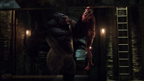 The Flash: El Gorila Grodd estará de regreso en la tercera temporada