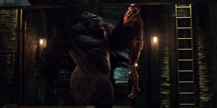 The Flash: El gorila Grodd estará de regreso en la segunda temporada